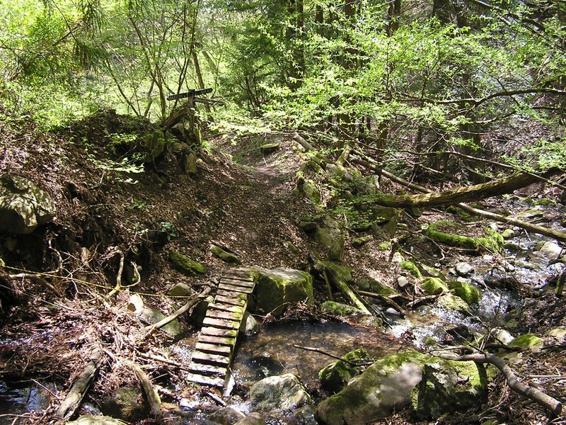 高川山･九鬼山 -- シラノサワ