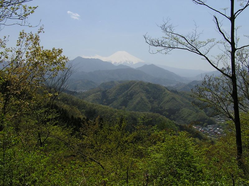 高川山･九鬼山 -- コース分岐点より