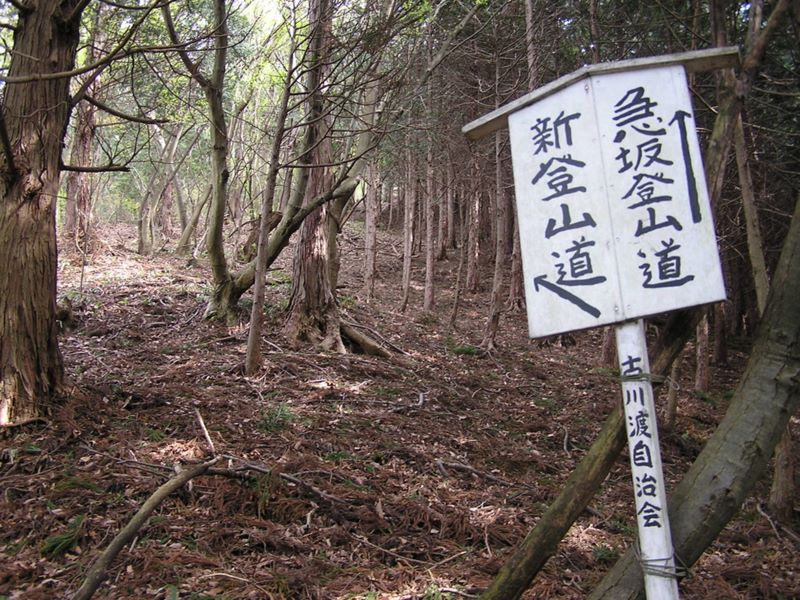 九鬼山 -- 実際は、急坂（左）と超急坂（正面直登）でした