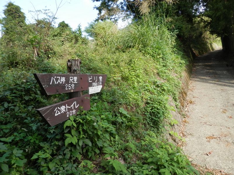 再びコンクリート舗装の林道