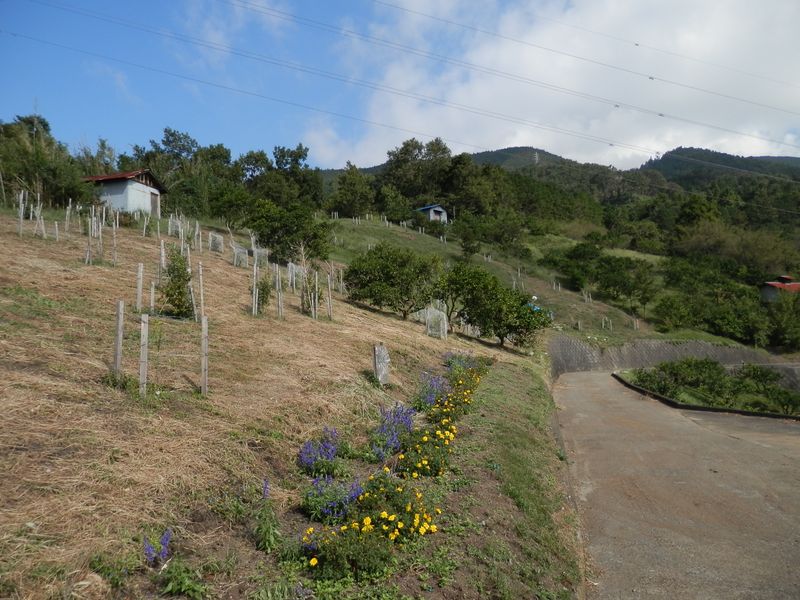 あれが高松山だろうか？