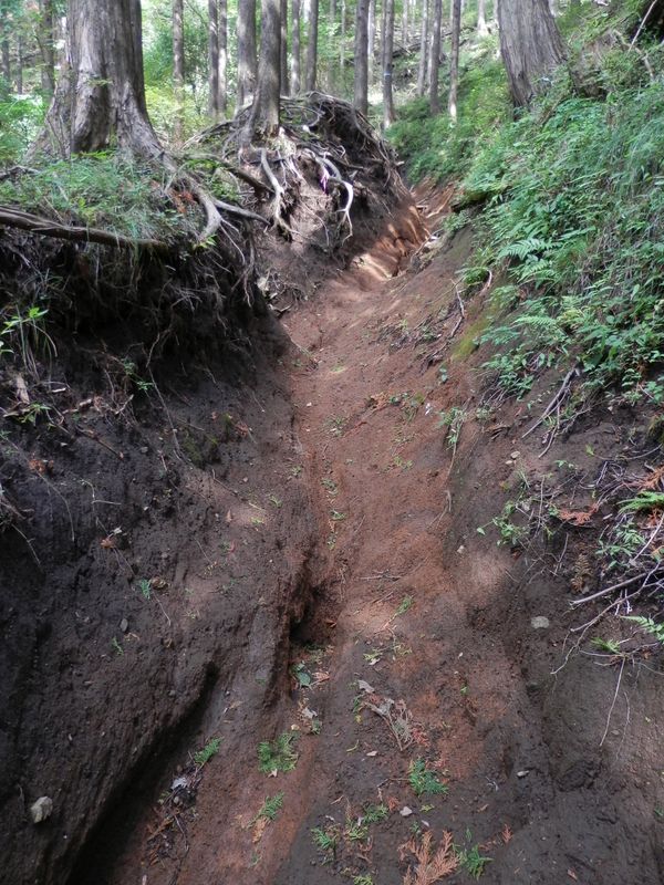 赤い岩が露出する、Ｖ字谷のような道