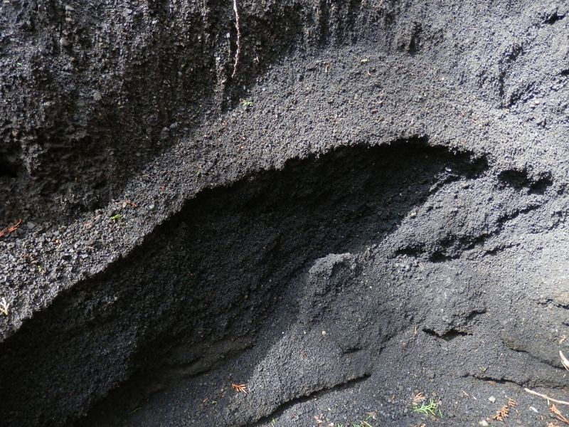 富士山の砂走りのような砂質の土