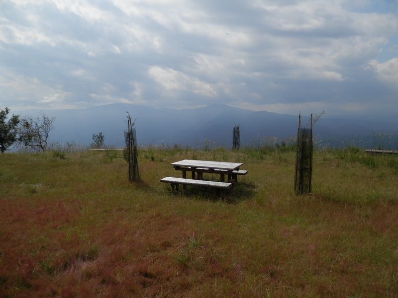 広々とした高松山頂
