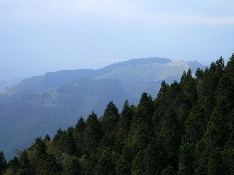 西方に大野山を望む