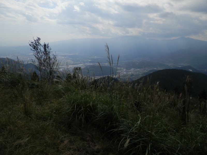 相模湾（左）を望む