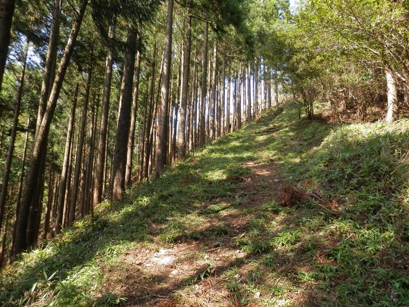 男坂から高松山山頂を振り返る