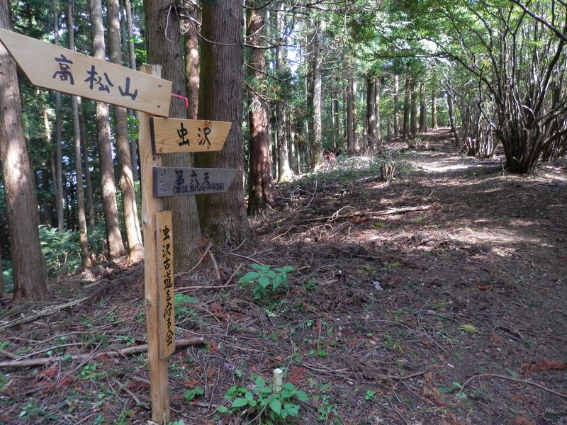 「虫沢古道を守る会」が立てた道標