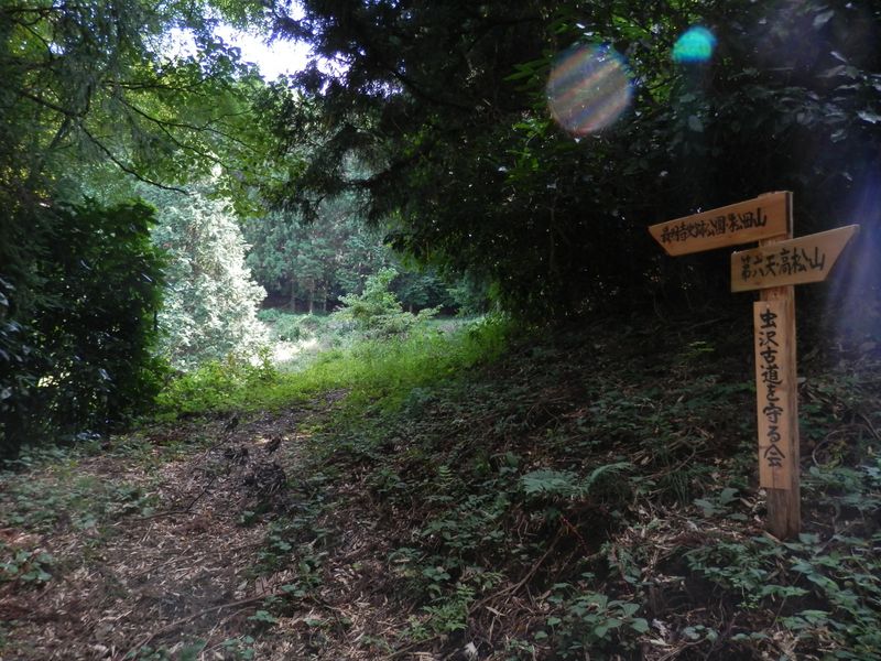 最明寺史跡に向かう道