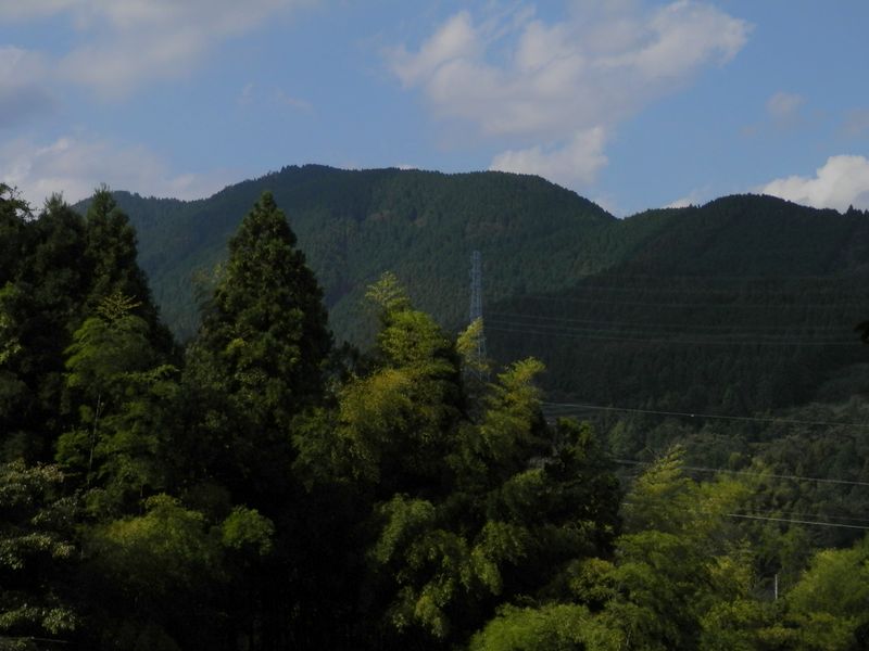 高松山を振り返る