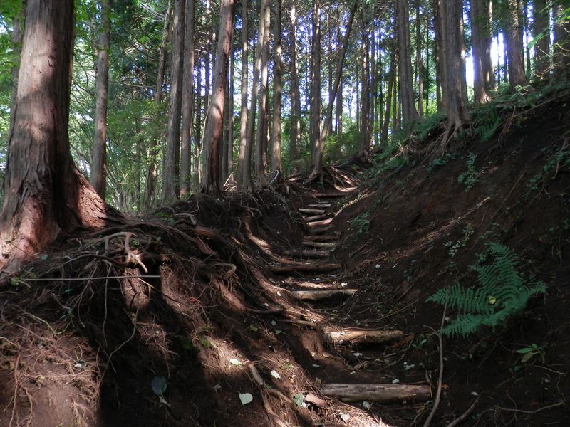 最明寺史跡に向かう道