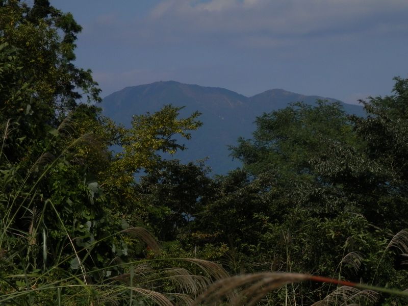 三ノ塔と二ノ塔が見えた