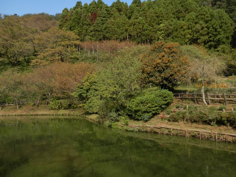 最明寺史跡公園はひっそりとして、誰もいなかった