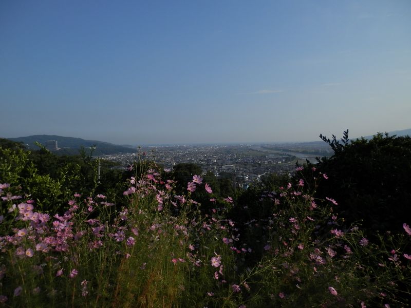 相模湾と酒匂川を望む