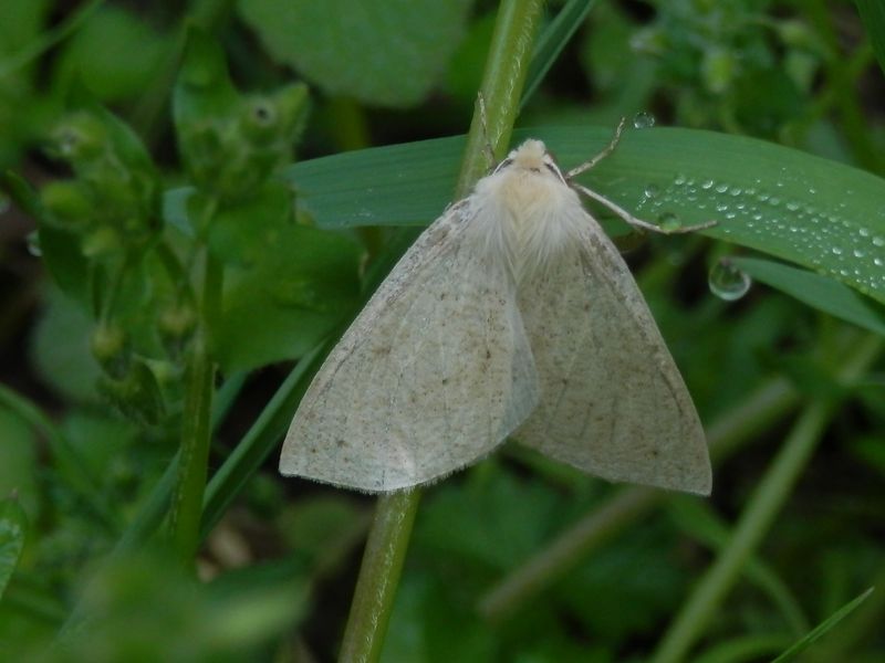 p4168446.jpg (large)