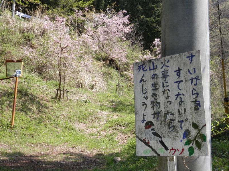 これ、本当ですね