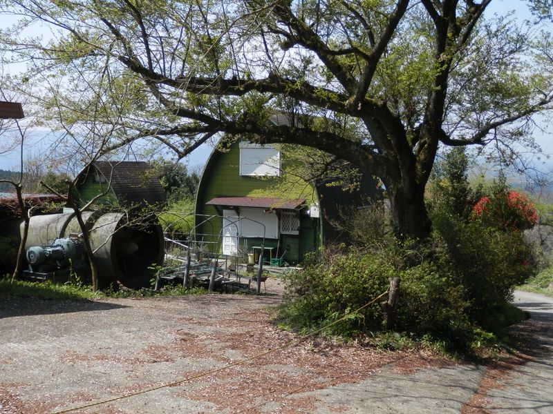 かわいらしい家