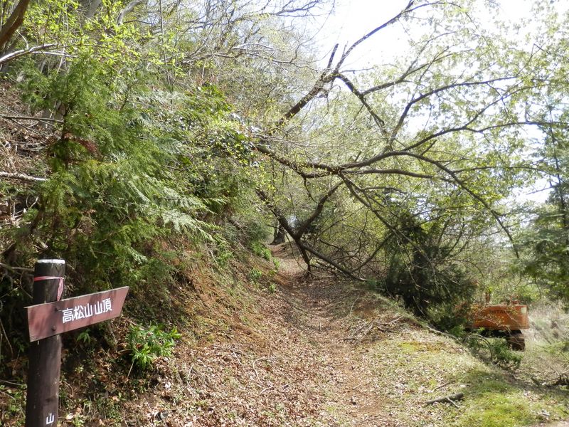 根こそぎ倒れても