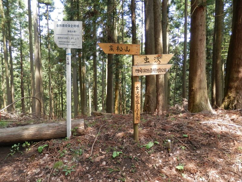 尺里峠からの登山道に飛び出す