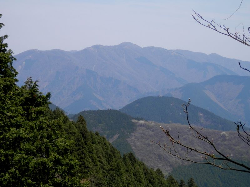 あれは塔ノ岳ではないか！