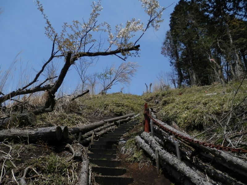 高松山頂直下の男坂