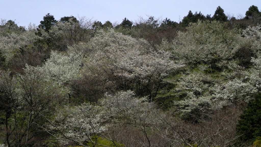 第六天稜線を遠望