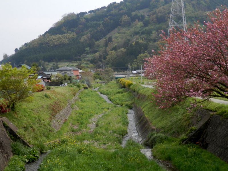 「上の台橋」から、尺里川下流を望む