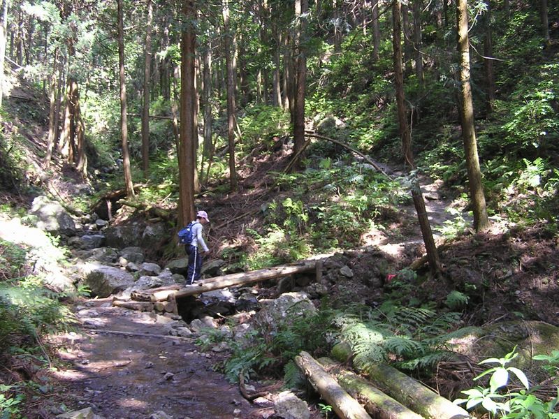 高水三山 -- これより山道