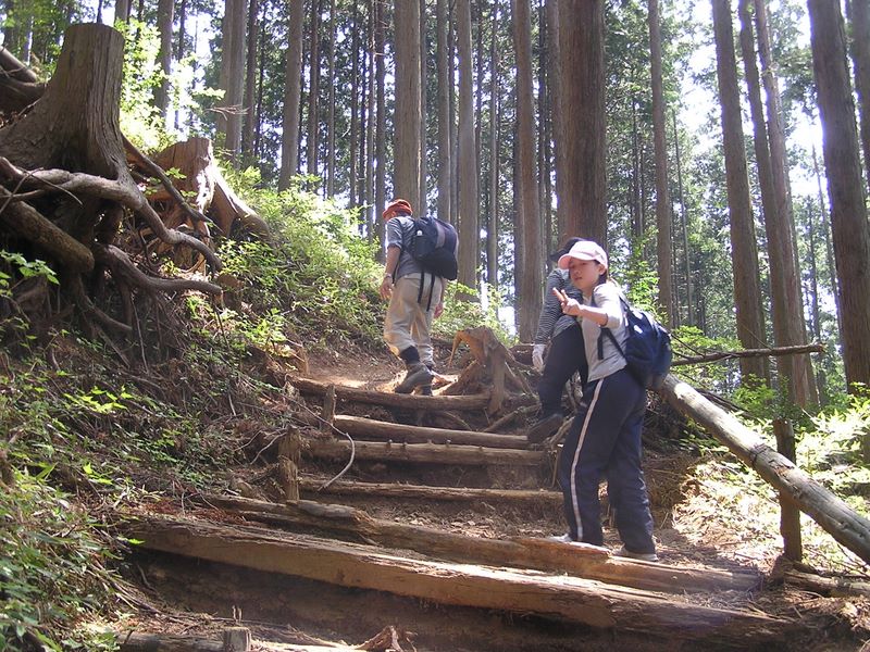高水三山 -- 高水山まであと一息