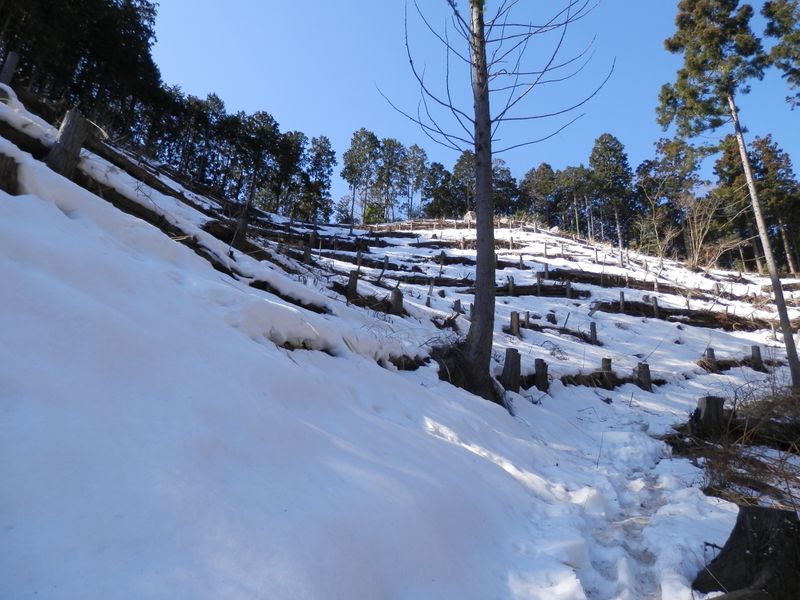 固い雪は踏んでも足がもぐらない