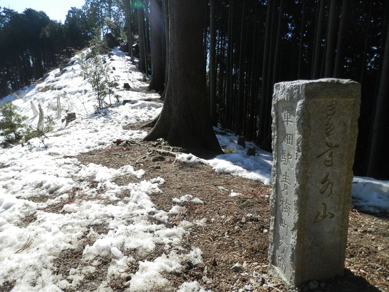 伐採地の上の稜線に立つ