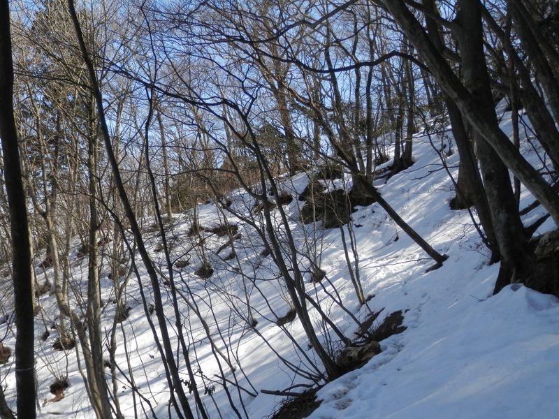 高水山北面のまき道