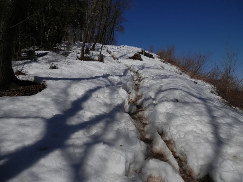 岩茸石山頂上が目前
