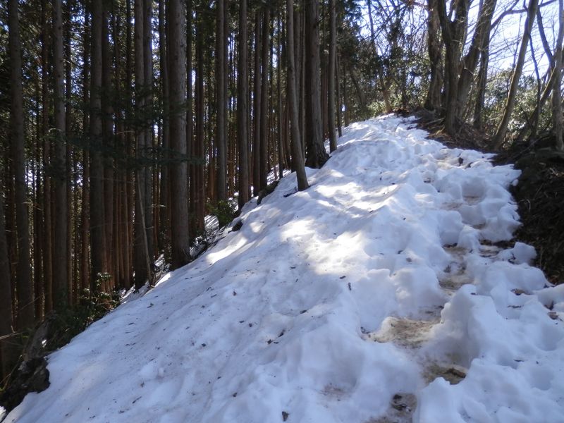岩茸石山から惣岳山に向かう道(1)