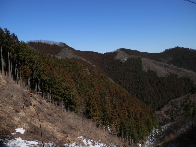 展望地より、岩茸石山と高水山を望む