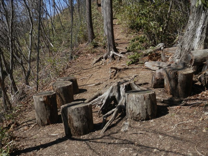 大岳山、御前山、石尾根などが見える休憩所