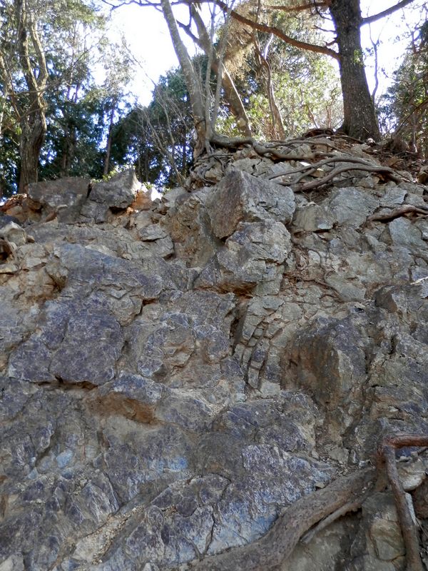 惣岳山北面の岩場