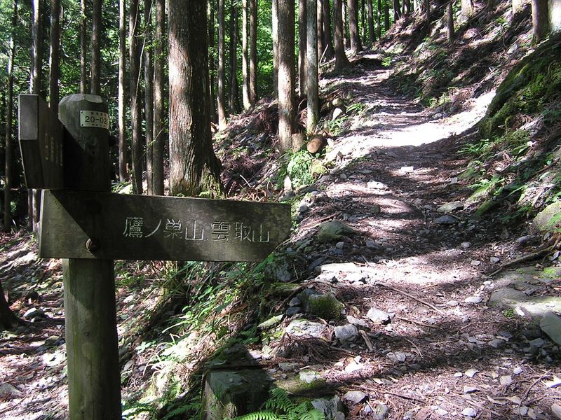 鷹ノ巣山 -- ここから山頂まで急登が続
