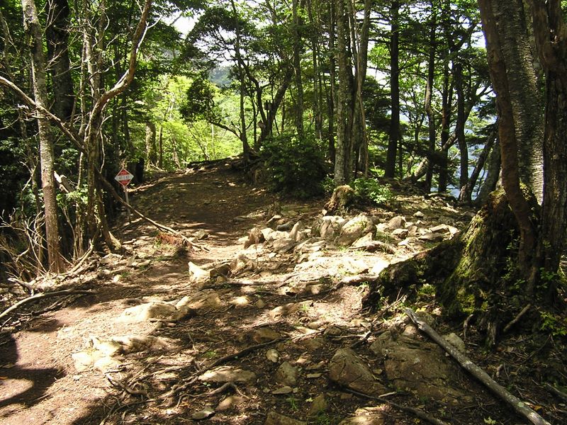鷹ノ巣山 -- ヒルメシクイノタワに到着
