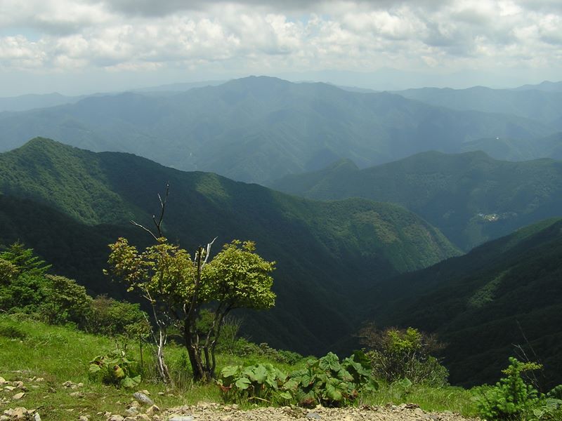 鷹巣山から南方に三頭山を望む