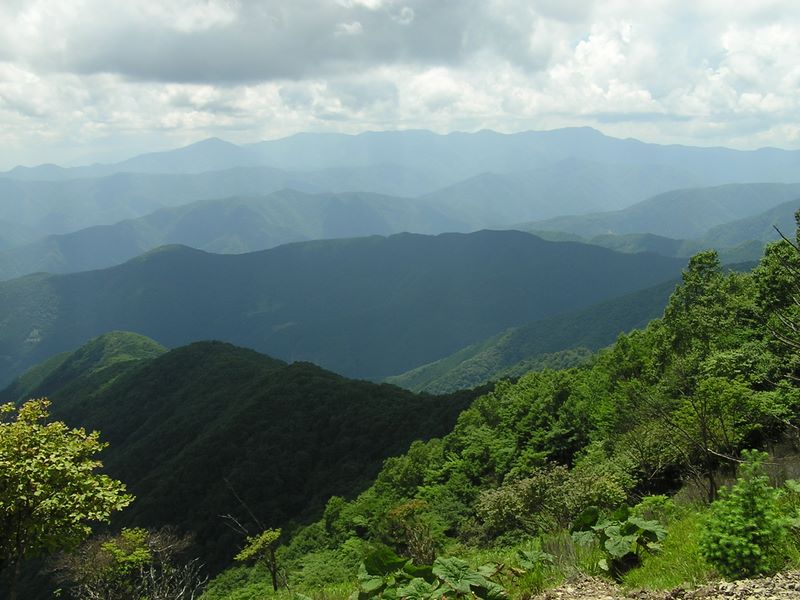 鷹巣山から南西方向に大菩薩嶺、小金沢連嶺、雁ヶ腹摺山を望む