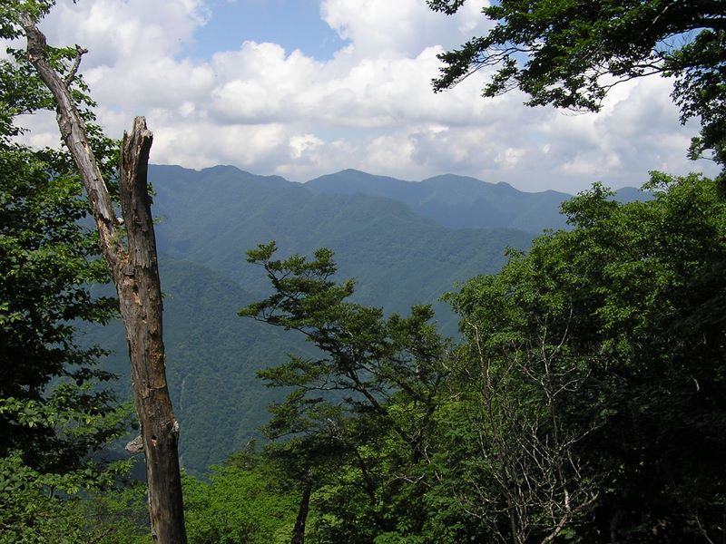鷹巣山より長沢背稜を望む