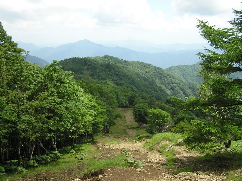 鷹ノ巣山 -- 縦走路が適度に湿っていて、足に優しい