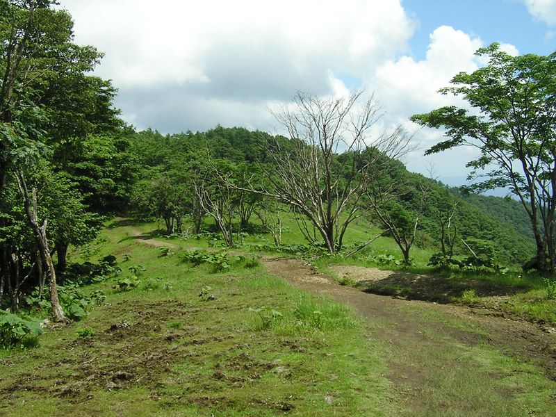 鷹ノ巣山 -- 広々とした石尾根縦走路
