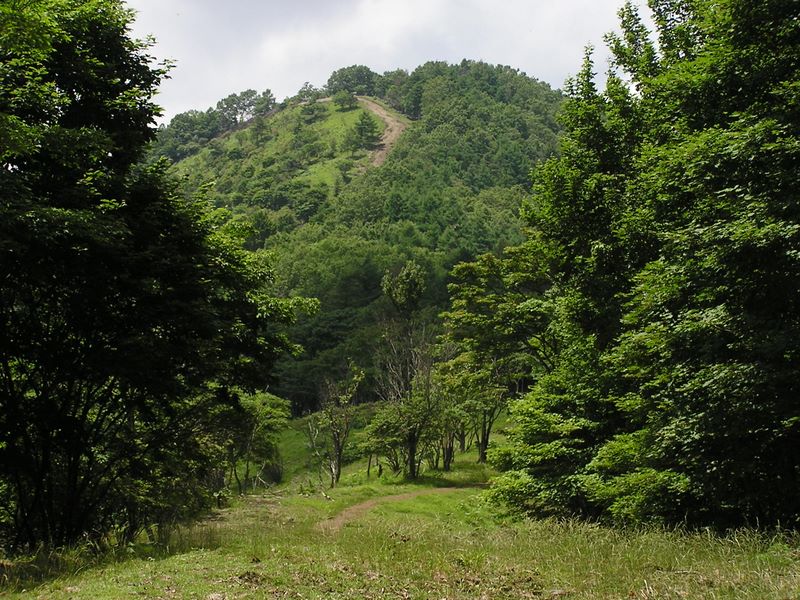 鷹ノ巣山 -- 石尾根縦走路から鷹ノ巣山を振り返る