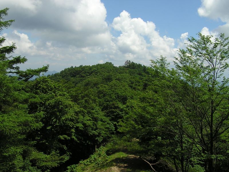鷹ノ巣山 -- まもなく水根山