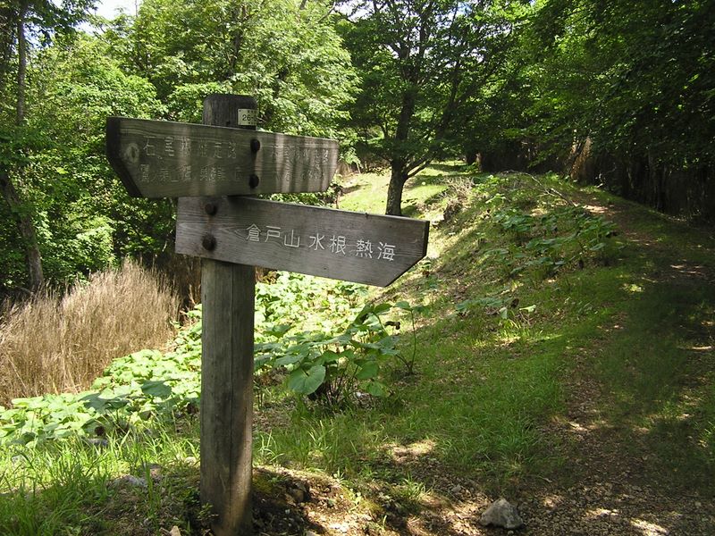 鷹ノ巣山 -- ここで右折すれば榧ノ木（かやのき）尾根を経て、熱海または女の湯に下ることができる