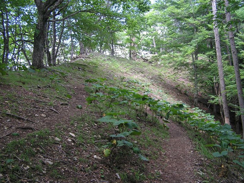 鷹ノ巣山 -- まもなく城山