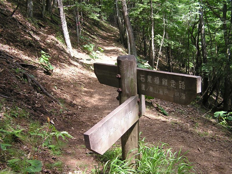 鷹ノ巣山 -- 石尾根縦走路が合流