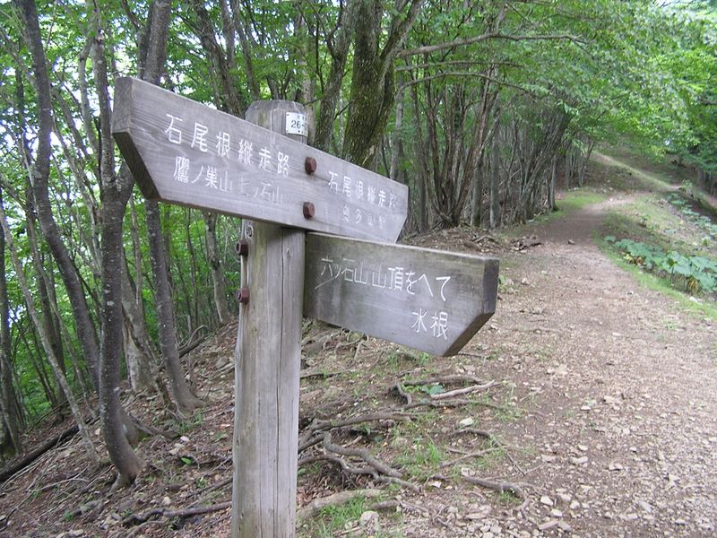 鷹ノ巣山 -- 六ツ石山への分岐に入る